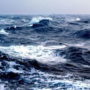 Meet your Posher, Rebeca